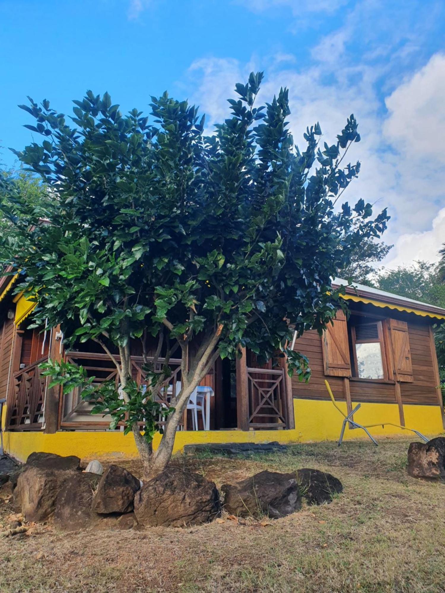 Cottage La Pointe Marine Десе Екстериор снимка