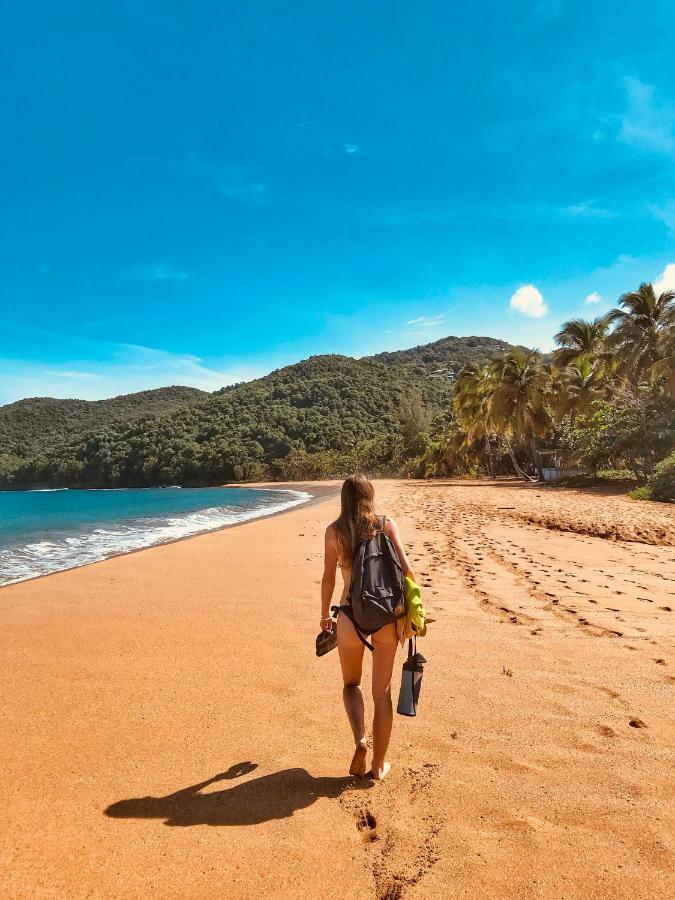 Cottage La Pointe Marine Десе Екстериор снимка